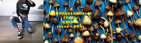 МДПВ Абинск